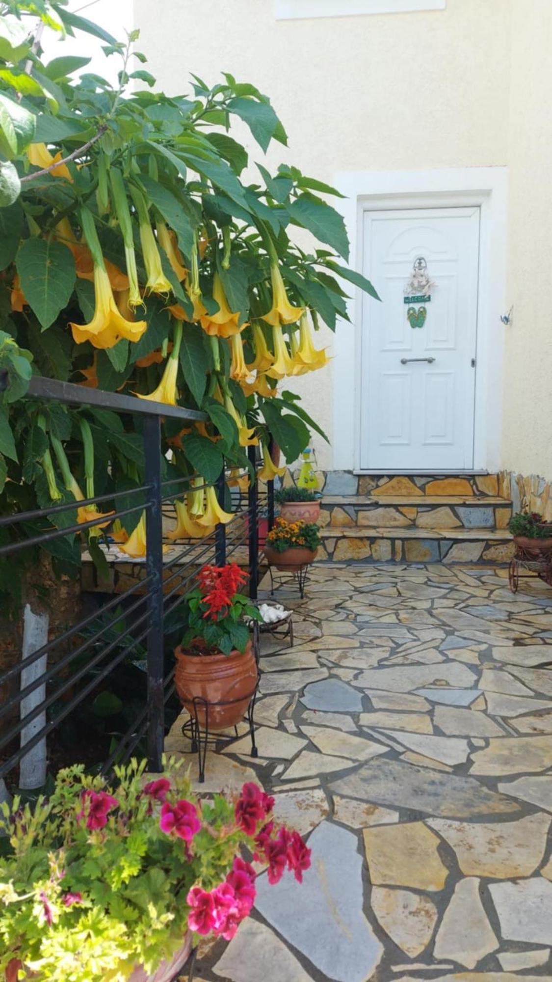 J&B Rooms דרמי מראה חיצוני תמונה